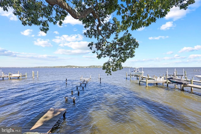 dock area with a water view