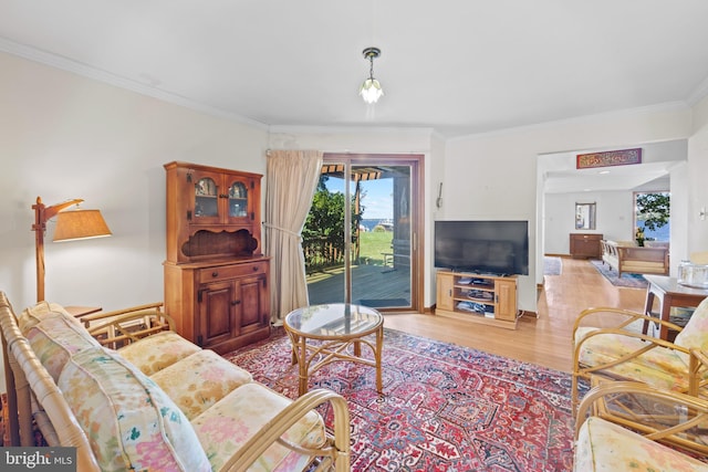 living room with crown molding and light wood-type flooring