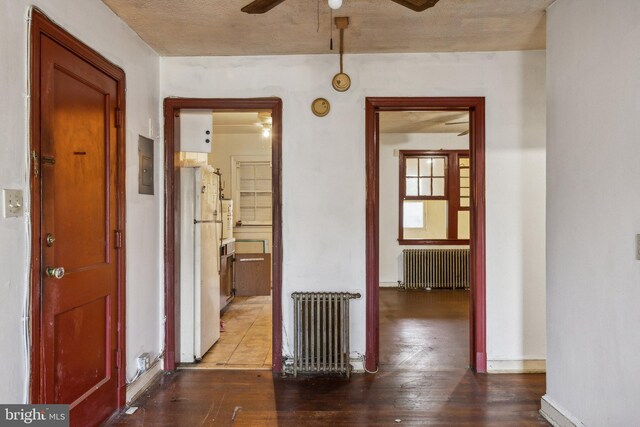 hallway featuring radiator heating unit and hardwood / wood-style flooring