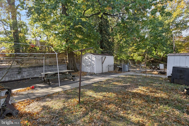 view of yard with a shed