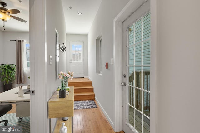 doorway with light hardwood / wood-style flooring and ceiling fan