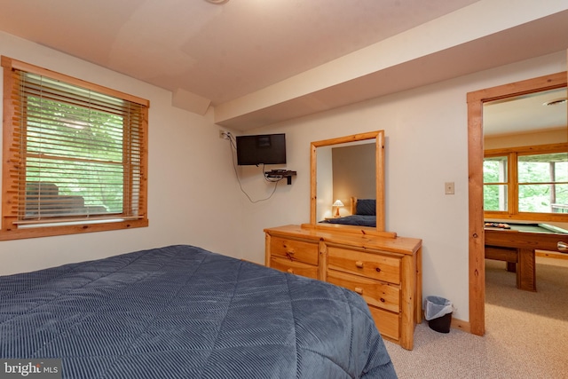 bedroom with carpet flooring and billiards