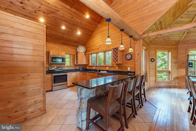 116 Wisp Mountain Rd, Mc Henry, MD 21541 - kitchen with stainless steel appliances, wooden ceiling, a peninsula, a sink, and wood walls