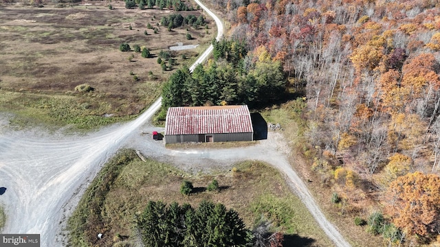 bird's eye view