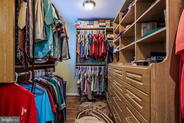 walk in closet with dark hardwood / wood-style flooring