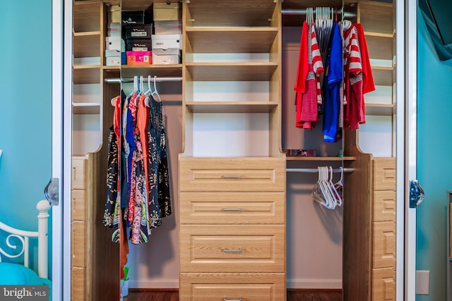 view of closet