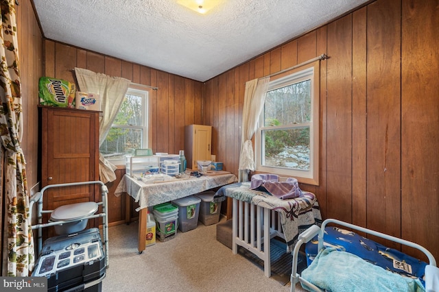 home office with a healthy amount of sunlight, light carpet, and a textured ceiling