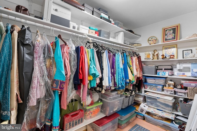 view of spacious closet