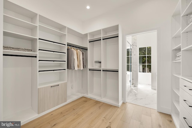 spacious closet with light wood-type flooring