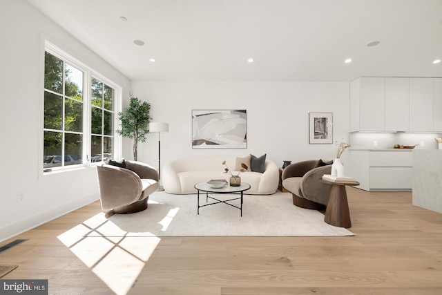 living room featuring light hardwood / wood-style flooring