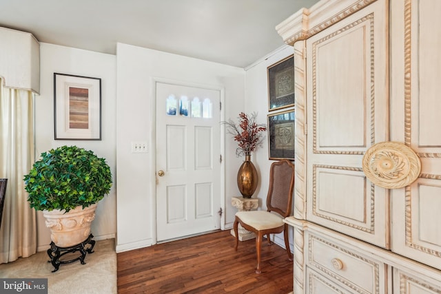 entryway featuring dark wood-type flooring