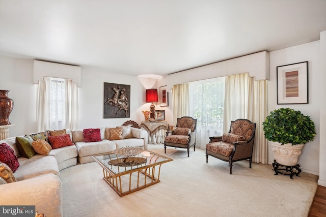 living room featuring wood finished floors, a wealth of natural light, and baseboards