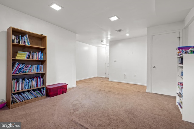 basement featuring carpet