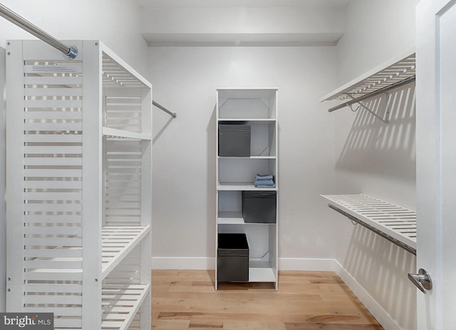 walk in closet with hardwood / wood-style floors