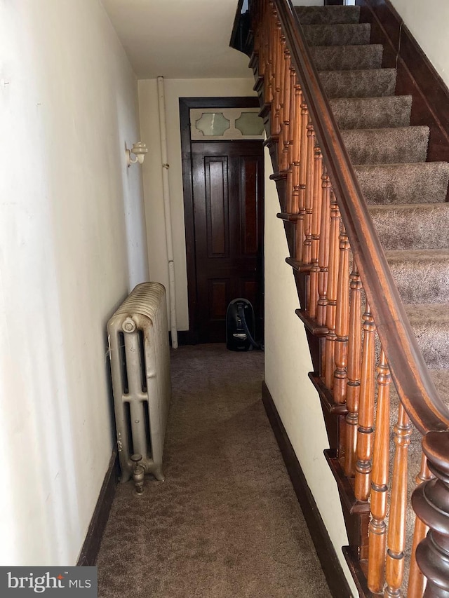 stairs with radiator and carpet flooring