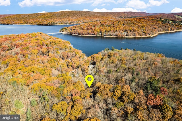 birds eye view of property featuring a water and mountain view