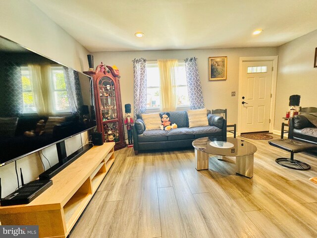 living room with light hardwood / wood-style floors