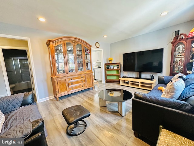 living room with light hardwood / wood-style floors