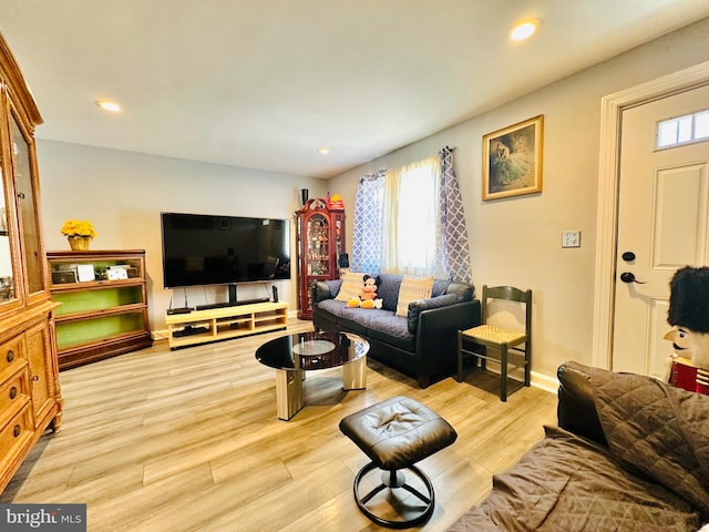 living room featuring light hardwood / wood-style flooring