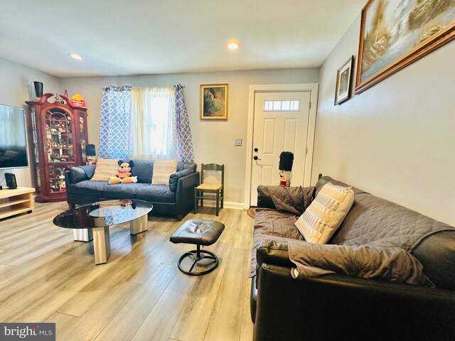 living room featuring light hardwood / wood-style flooring