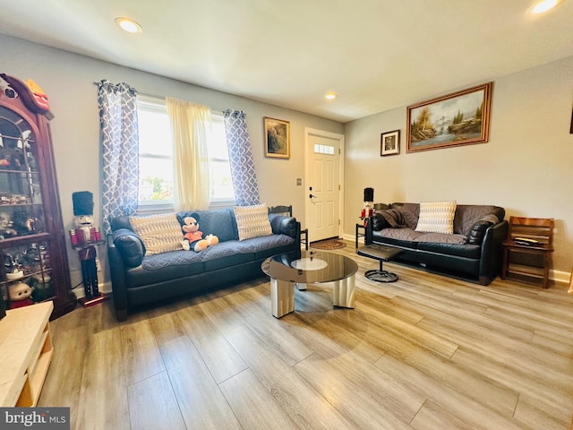 living room with light hardwood / wood-style flooring