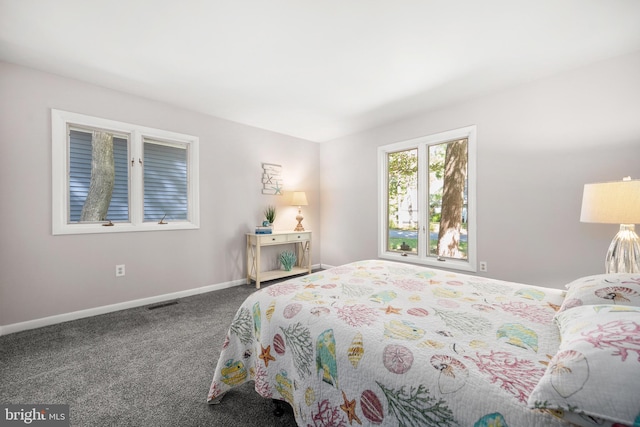 bedroom with carpet floors