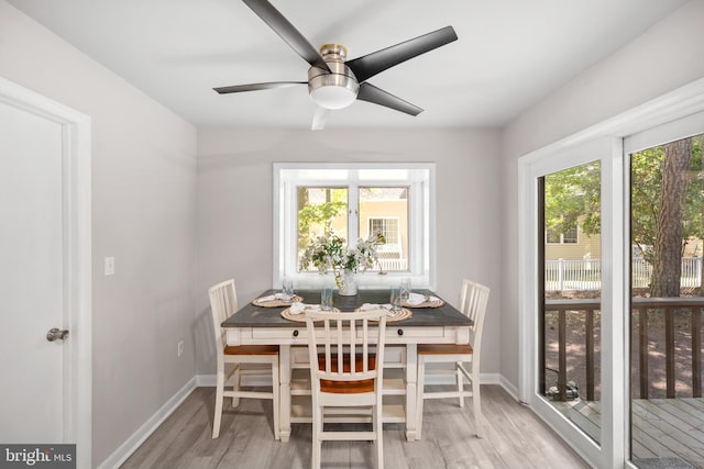 dining area featuring plenty of natural light, light wood-type flooring, and ceiling fan