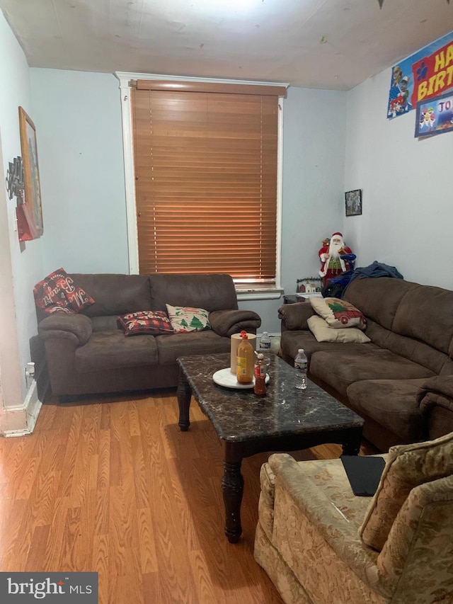 living room featuring light hardwood / wood-style flooring