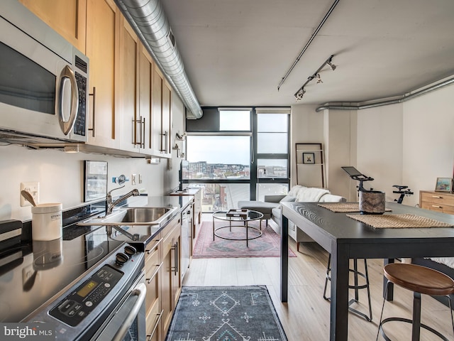 kitchen featuring expansive windows, sink, appliances with stainless steel finishes, and light hardwood / wood-style floors