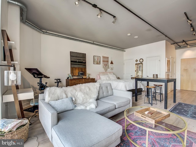 living room with light hardwood / wood-style floors