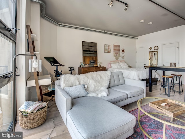 living room featuring light hardwood / wood-style floors