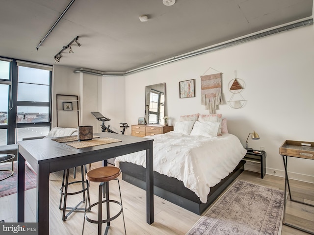 bedroom featuring multiple windows and light hardwood / wood-style flooring