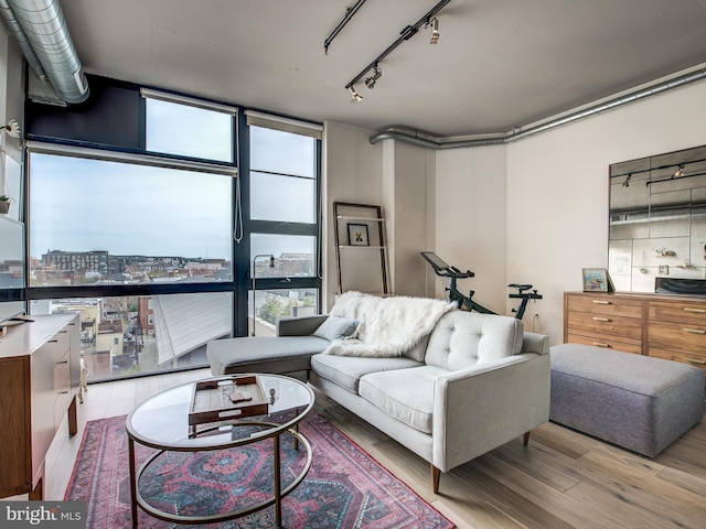 living room with a wall of windows, light hardwood / wood-style flooring, and a wealth of natural light