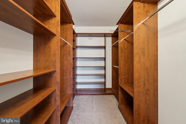 walk in closet with light colored carpet