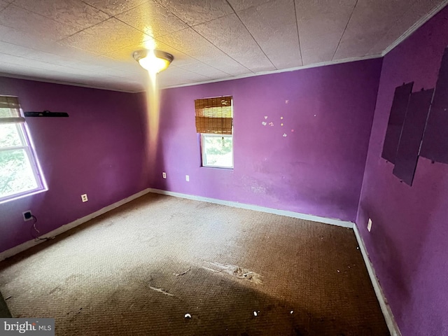 carpeted spare room with crown molding