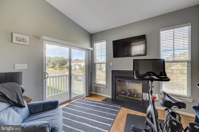 living room with vaulted ceiling and hardwood / wood-style floors