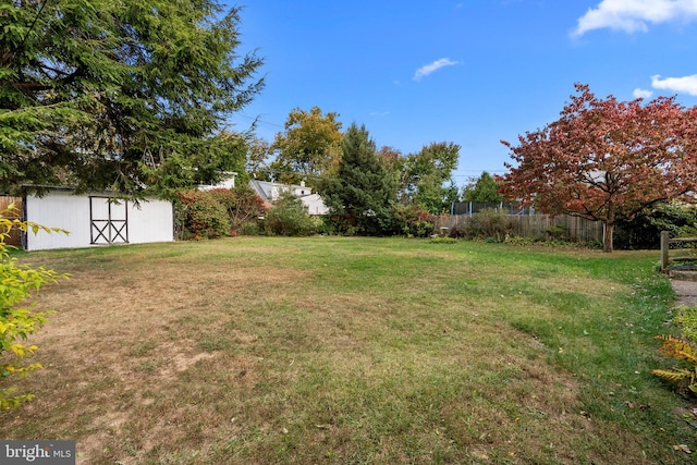 view of yard featuring a storage shed