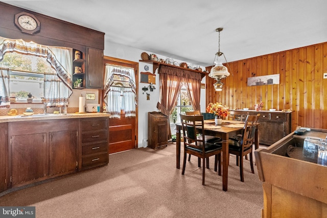 carpeted dining area with wooden walls and sink