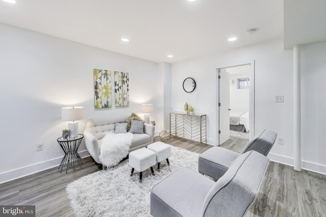 living room with wood-type flooring