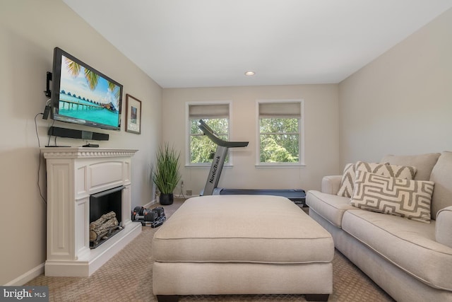 view of carpeted living room