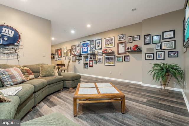 living room with hardwood / wood-style flooring