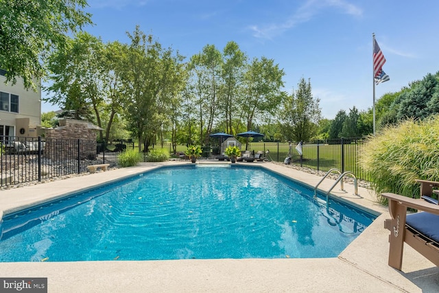 view of swimming pool