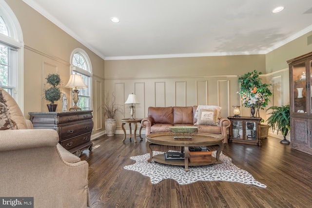 living room featuring dark hardwood / wood-style floors and crown molding