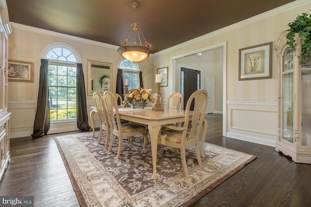 dining room with dark hardwood / wood-style flooring and ornamental molding