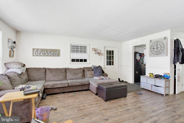 living room featuring hardwood / wood-style floors