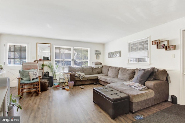 living room with hardwood / wood-style flooring