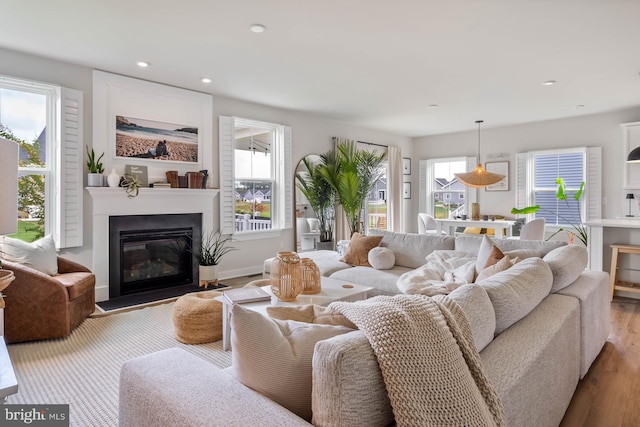 living room with a healthy amount of sunlight and light hardwood / wood-style floors