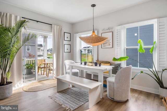 dining area featuring hardwood / wood-style floors