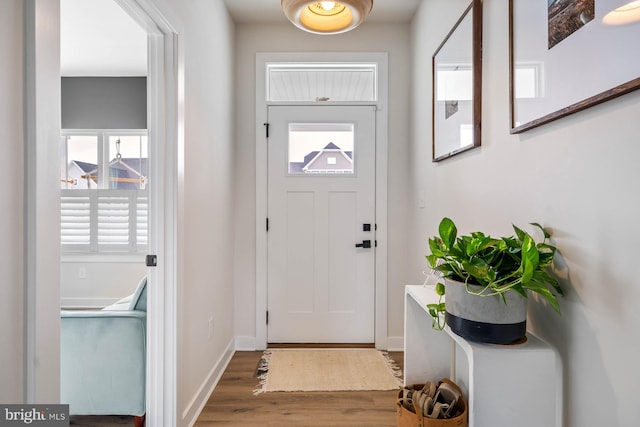 foyer entrance featuring hardwood / wood-style floors and a wealth of natural light