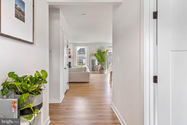 hall featuring light hardwood / wood-style flooring